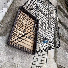 ペット用
の画像
