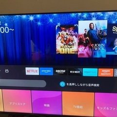 東芝レグザ4K  50E350M パネル交換済み