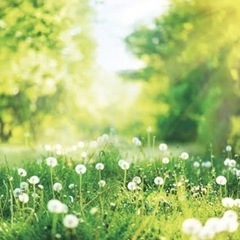 昼カラオケ２月２３日(日)＆３月３日(月)