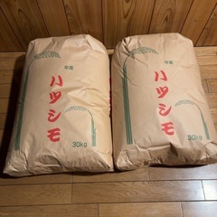 【受付停止】ハツシモ　令和6年産　新米　玄米 