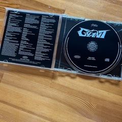 STRAYKIDS GIANT CD①の画像