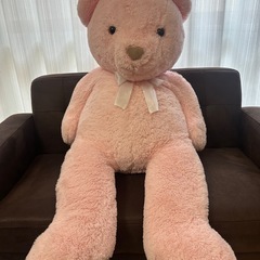 くま　ぬいぐるみ
