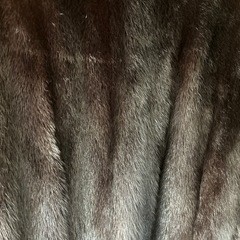 レディース、婦人服　毛皮のコート　受け渡し予定者決まりました
の画像