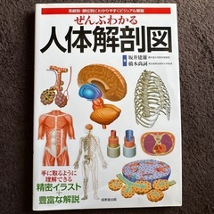 人体解剖図　テキスト