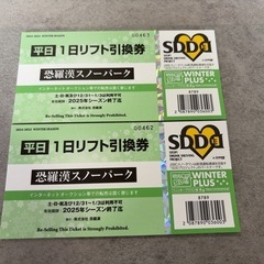 恐羅漢スノーパーク　平日 1日リフト引換券