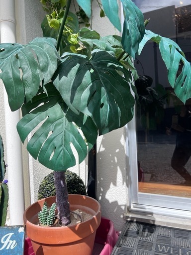 植木　観葉植物　フェイク　ハワイ風　大きめ　インテリア