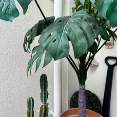 モンステラ　植木　観葉植物　フェイク　ハワイ風　大きめ　インテリア　の画像