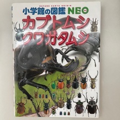 カブトムシ、クワガタムシ図鑑