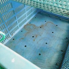 【JM375】 釣り 籠 つりかご スカリ コンテナの画像