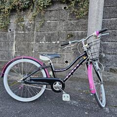 子ども用自転車20インチ　ブリヂストン　ワイルドベリー