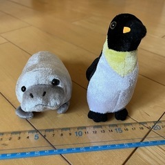 マリンパーク きらきら ぬいぐるみの画像