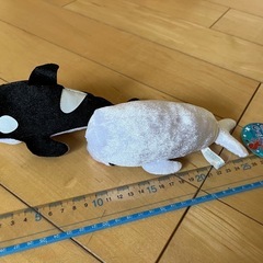 マリンパーク きらきら ぬいぐるみの画像