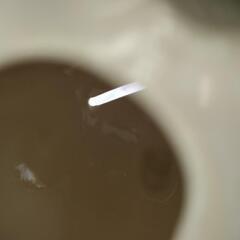 置物 小型 豚 貯金箱  陶器 レトロ の画像