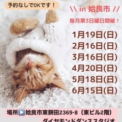 保護猫譲渡会in姶良市