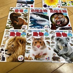 ハッピーセット 図鑑セットの画像