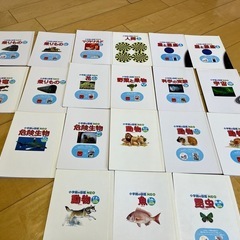 ハッピーセット 図鑑セットの画像