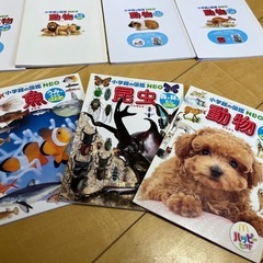 ハッピーセット 図鑑セットの画像