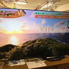 TCL　液晶テレビ　２０２３年　オンデマンド対応　６５インチ