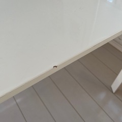 テーブルの画像