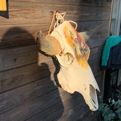 水牛 頭蓋骨 頭骨 バッファロースカル ロングホーン スカルホーンオブジェクト アート 壁掛け 置物 角 ウエスタン ヴィンテージ アンティーク インテリアの画像
