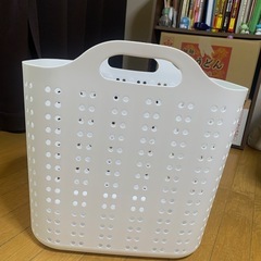 （3月3日まで処分）バスケットL