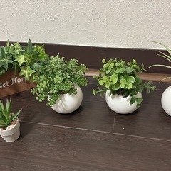 観葉植物　フェイクグリーン　インテリア　ニトリ　5個セット　まとめ売り