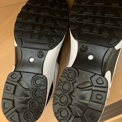 シューズ24.5cmの画像