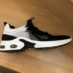 シューズ24.5cmの画像