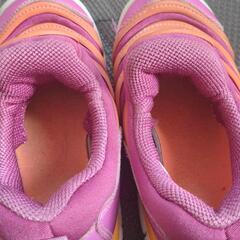 ナイキ　ダイナモ　16.0の画像