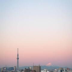 朝カフェ🌞夜カフェ🌃