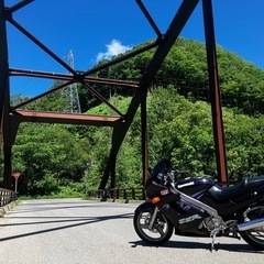 ZZR250
