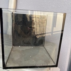 コトブキ　ベタ用水槽