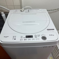 SHARP  洗濯機 の画像