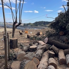 薪丸太400キロ　激安の画像
