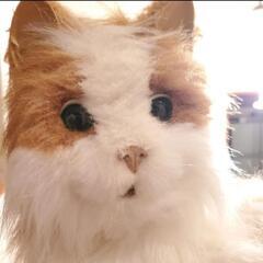 セガトイズ 夢ねこ ヴィーナス 猫 ネコの画像