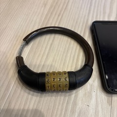 ワイヤーロックの画像