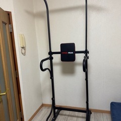 PYKES PEAK 懸垂バーの画像