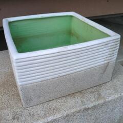 メダカ鉢　金魚鉢　ビオトープ