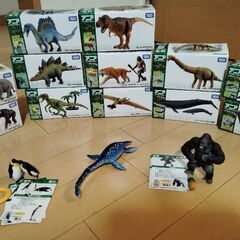 アニア　15種類