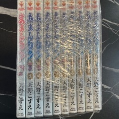 【特価品！】あまんちゅ 天野こずえ 1〜9巻+1   10冊セット（ID546）の画像