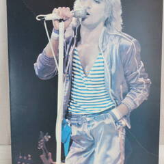 ☆★ib■ROD STEWART / ロッドスチュアート 木製パ...