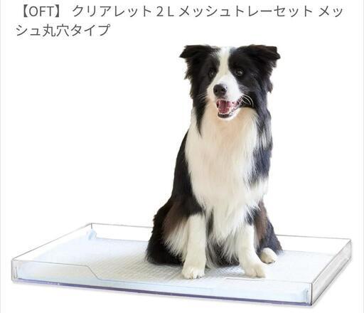 クリアレット ラージ