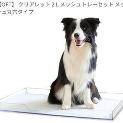 クリアレット ラージ