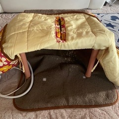 ペット用こたつの画像