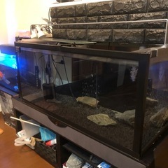 特注アクリル水槽
 の画像