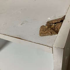 ☆カラーボックス☆非対面受取り可能の画像
