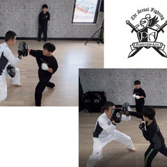 実戦闘法プロテクティヴ・アーツの画像