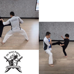 実戦闘法プロテクティヴ・アーツの画像