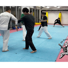 実戦闘法プロテクティヴ・アーツの画像