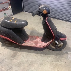 スズキ　ジェンマ